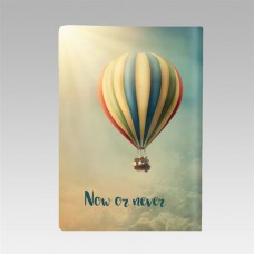 Обложка для паспорта "Now or never"