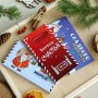 Шоколад в коробочке «Подарок от Деда Мороза»