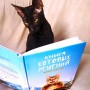 Записная книжка "Книга котовых решений"