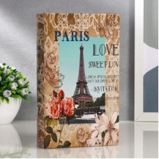 Сейф книга дерево "Париж"